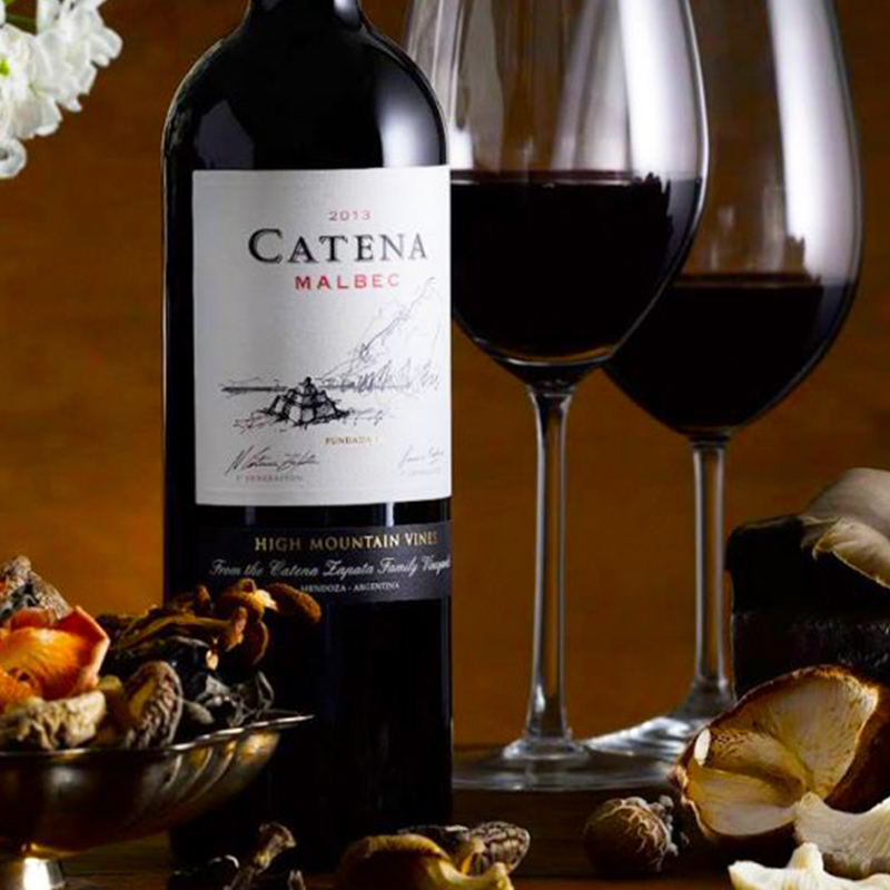 Catena High Mountain Malbec 2020 750ml 13.5%·Argentina Mendoza·Malbec·Red Wine