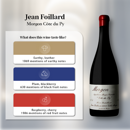 Jean Foillard Morgon Cote du Py 2019 750ml 13%·France Morgon·Gamay·Red Wine