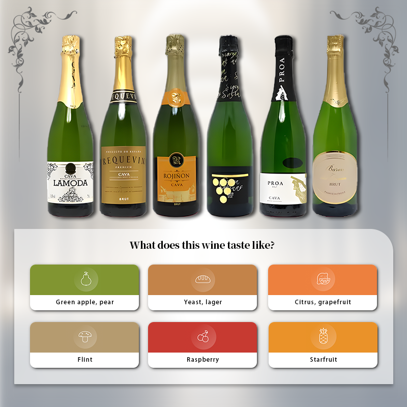 [6 Bottles] Spanish Cava Sparkling Wine Drinking Set 750ml per Bottle 11.5%·Spain·Sparkling Wine