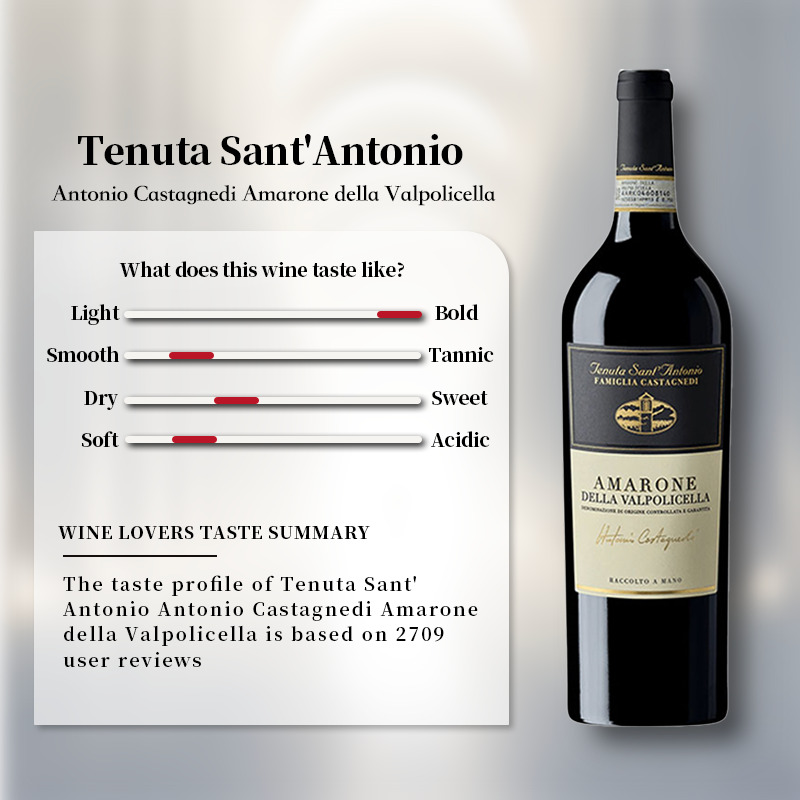 Tenuta Sant'Antonio Antonio Castagnedi Amarone della Valpolicella 2018 750ml 15%·Italy Veneto·Blend·Red Wine