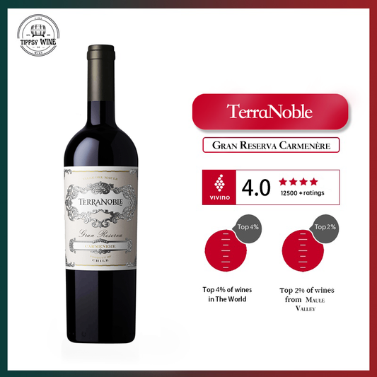 TerraNoble Gran Reserva Carmenere 2020 750ml 14%·Chile·Carménère·Red Wine